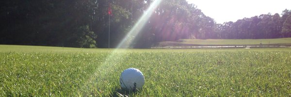 danebennison Profile Banner