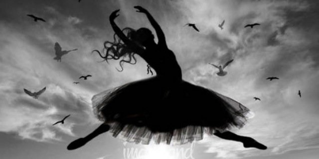 AliciogluAyse's profile banner image