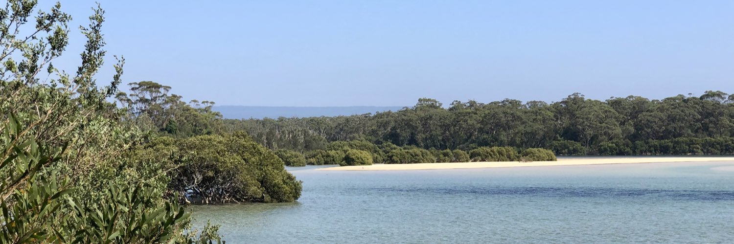 Dr Susan Caldis (she/her) banner