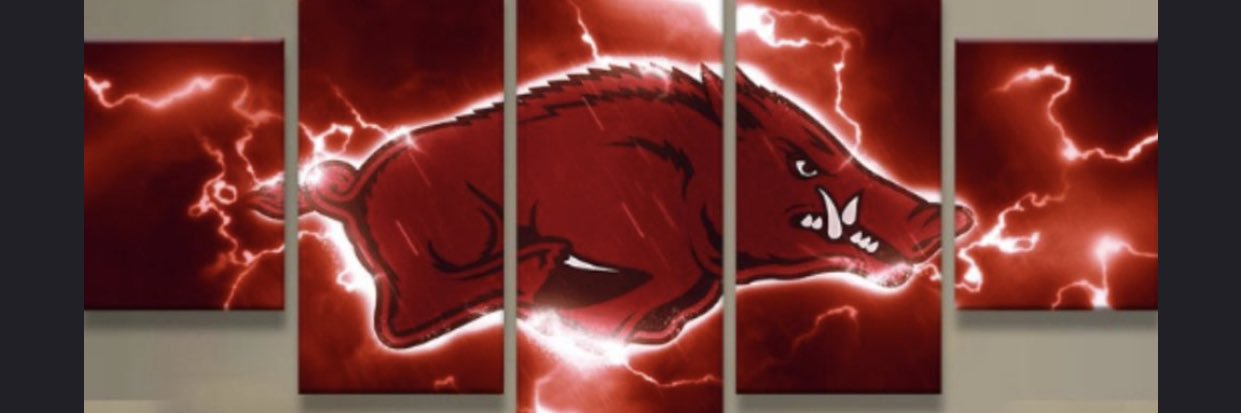 CrazorbackDan banner