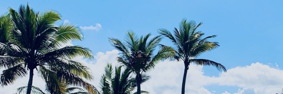 302Fib's profile banner image
