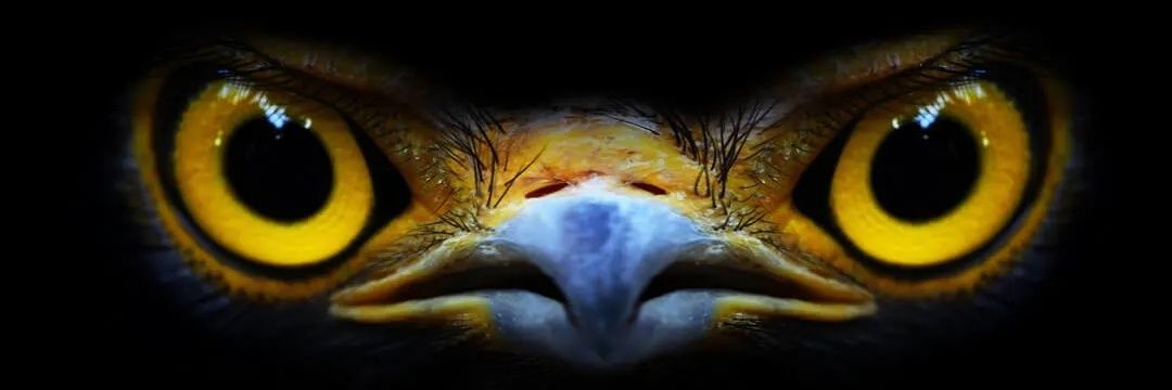 jayoker8's profile banner image