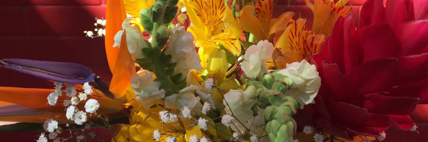 Mymsdf's profile banner image