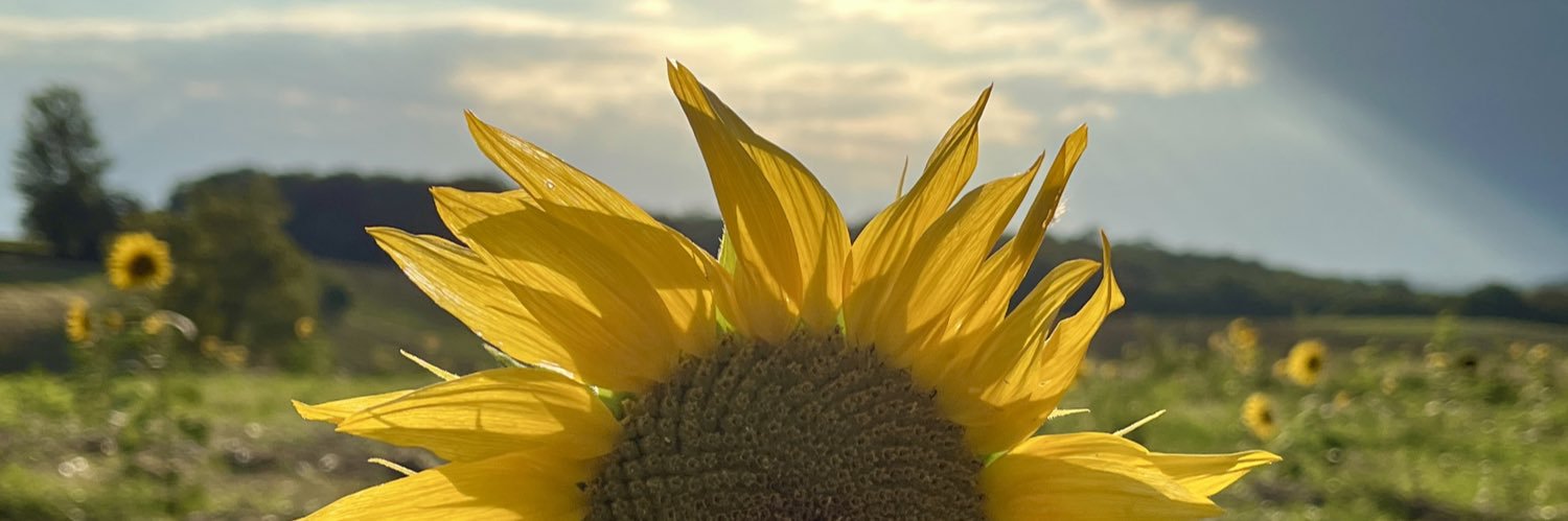 Lenofbas's profile banner image