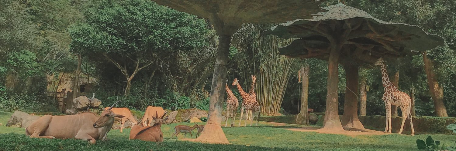 ZakiaSR's profile banner image