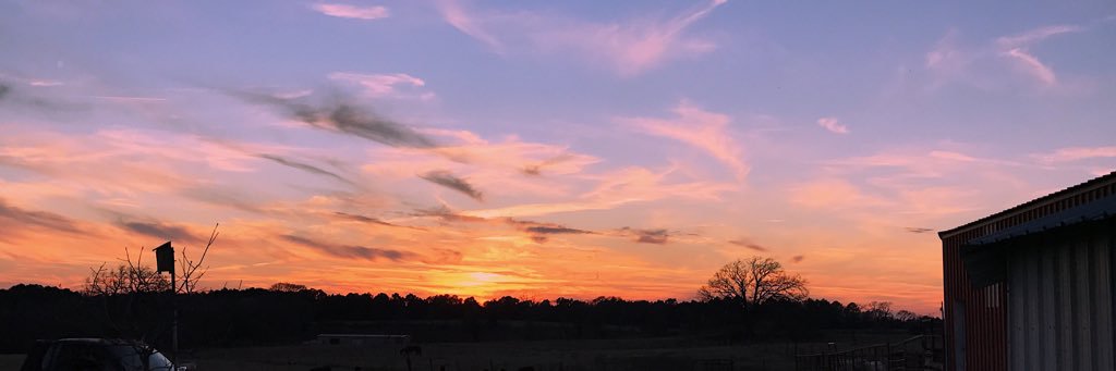 addisonholcomb's profile banner image