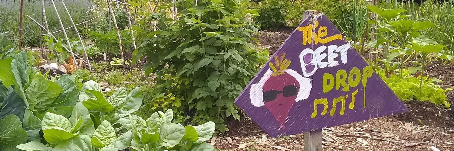 Vic Izzo banner