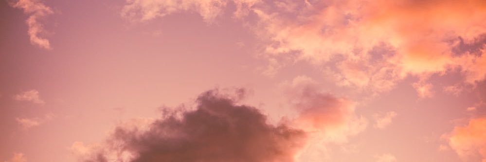 karielida's profile banner image