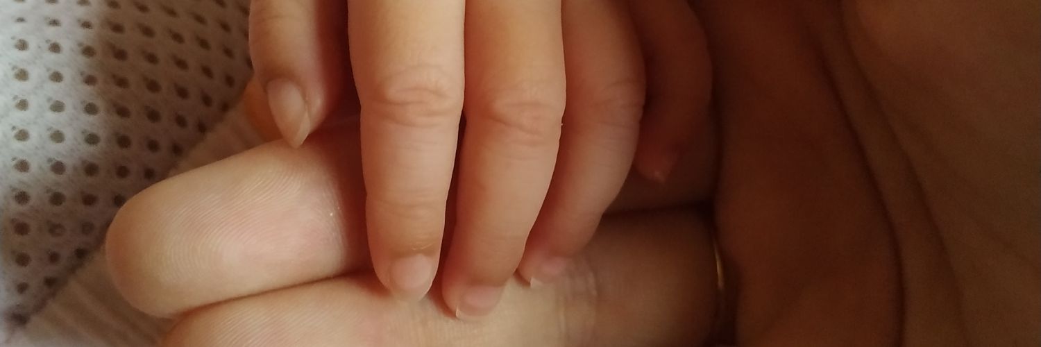 BeeFilzah's profile banner image