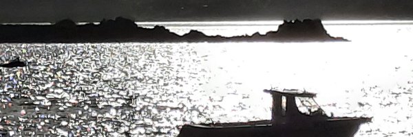 _Nous55 Profile Banner