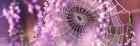 jazminejames's profile banner image