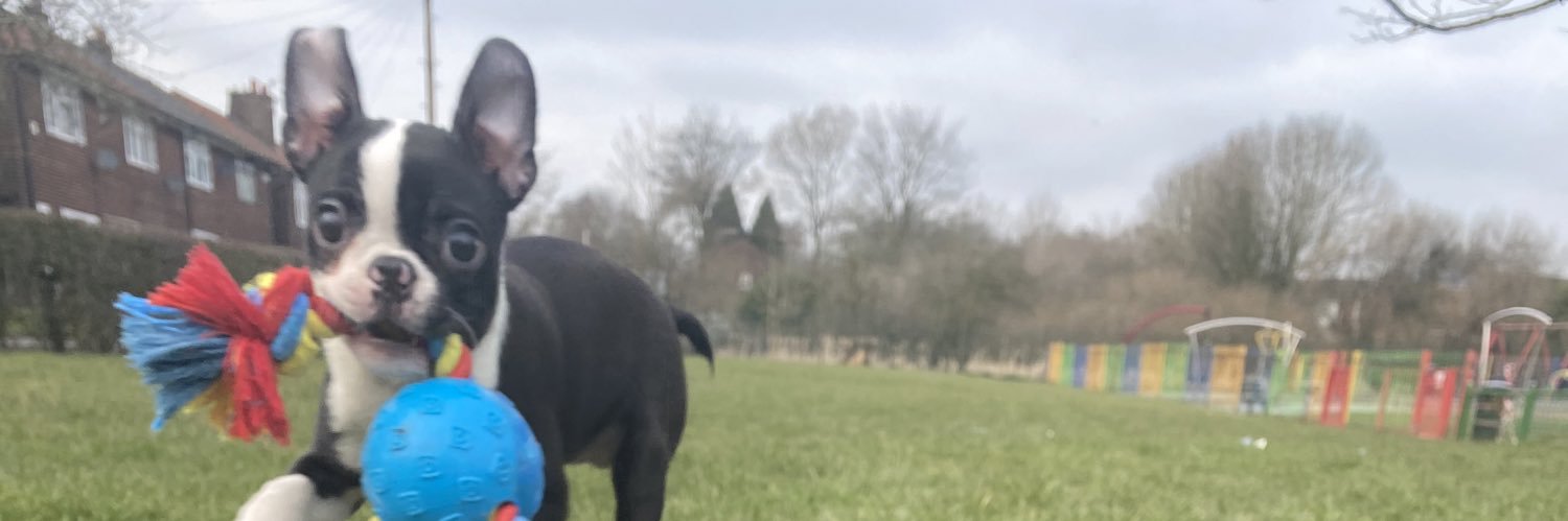 tombritton2's profile banner image