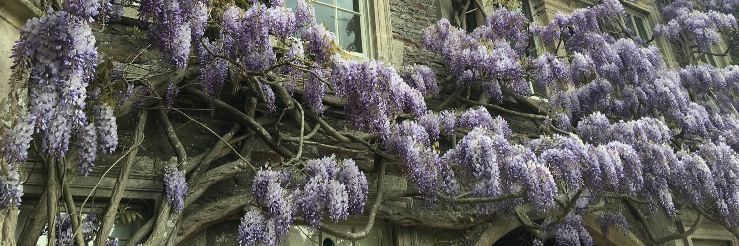 HanhamCourt's profile banner image