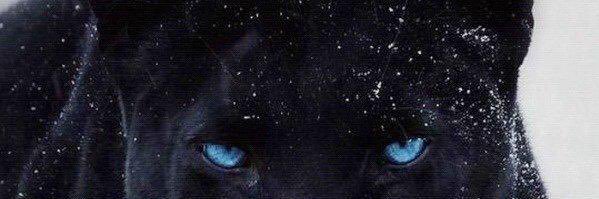 ozlemgozcu's profile banner image
