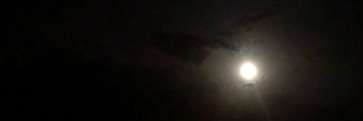thewolf1985m's profile banner image