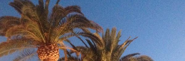 JennyMonday10 Profile Banner