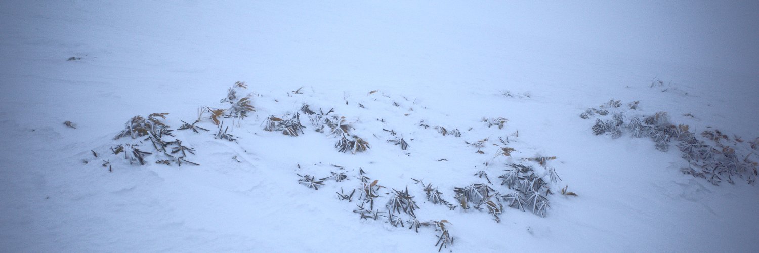 干し草と靄 banner