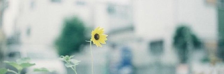 saroonahezy's profile banner image