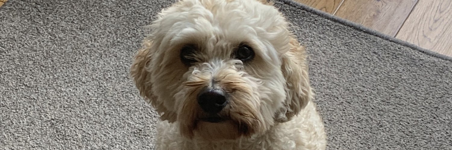 Nobbler2309's profile banner image