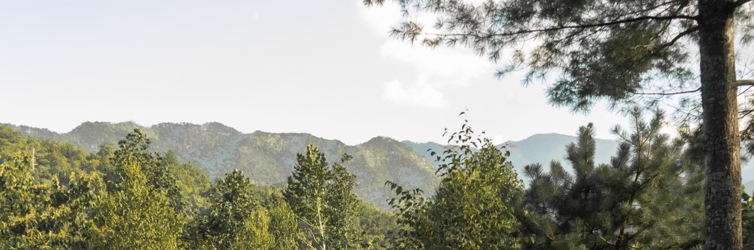 BanksBurkart's profile banner image