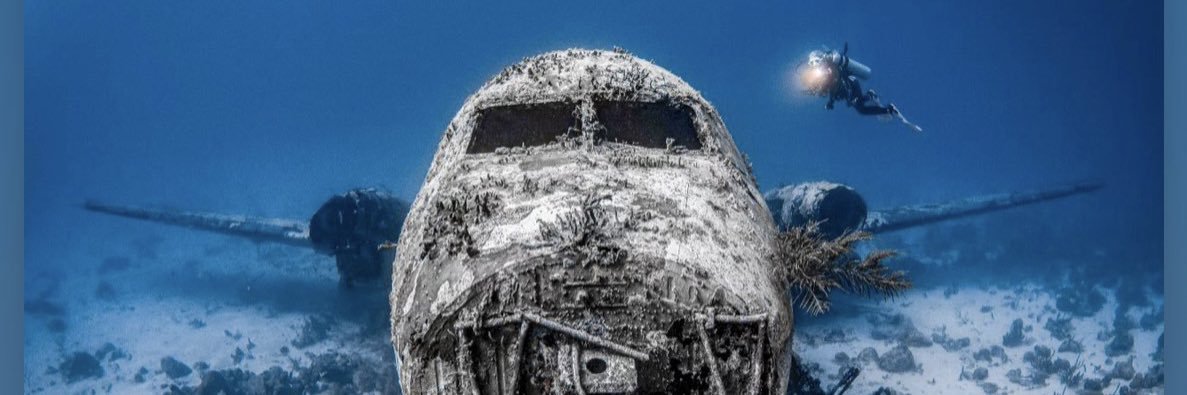 JulieRoss100's profile banner image