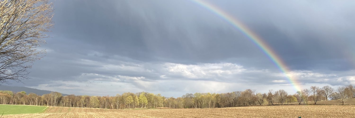 stevechazaro's profile banner image