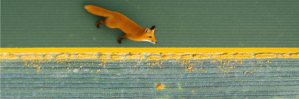 wheatpath Profile Banner