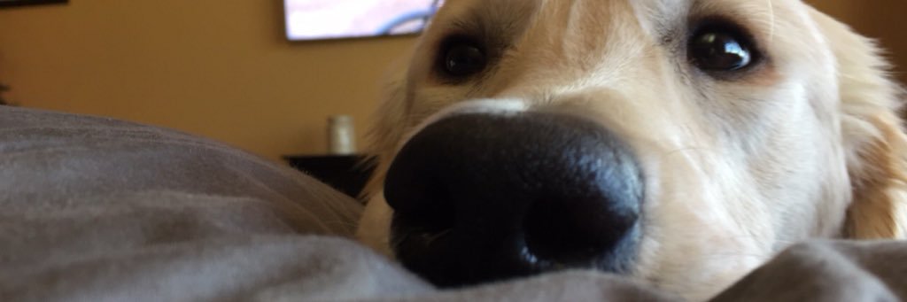KSitzmann's profile banner image