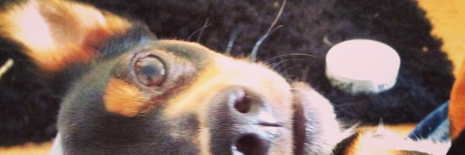 jonnyharb's profile banner image