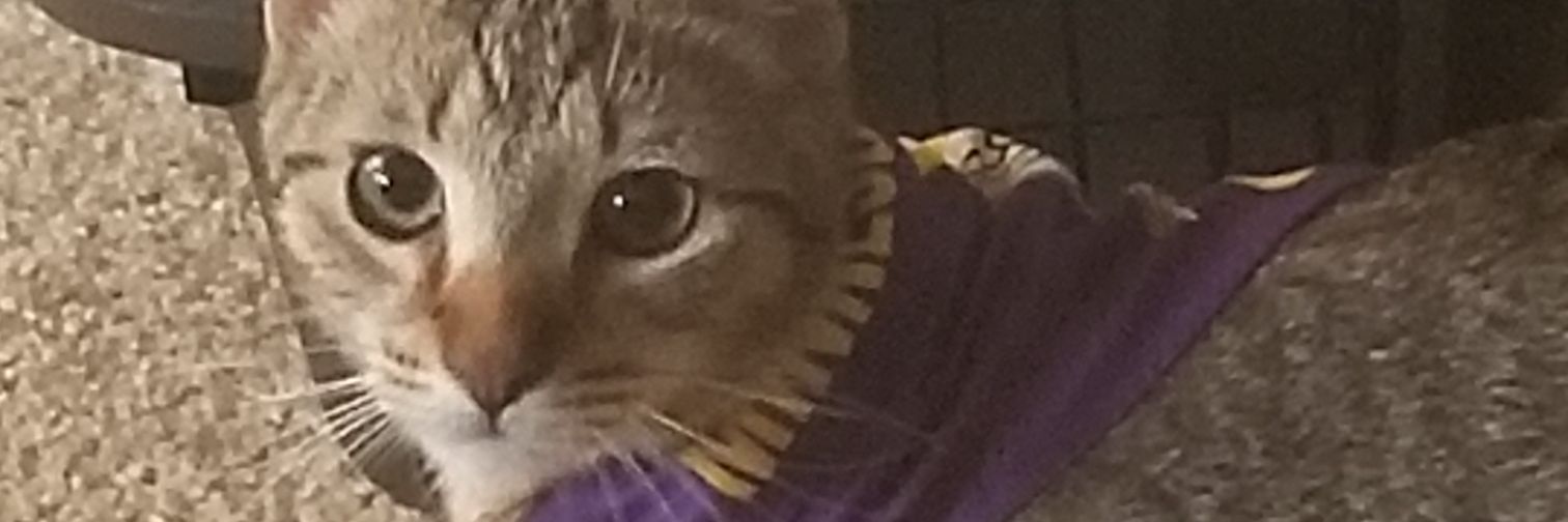 TheReal_KMix's profile banner image
