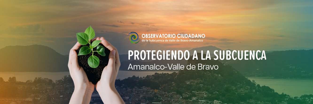 Observatorio Ciudadano banner