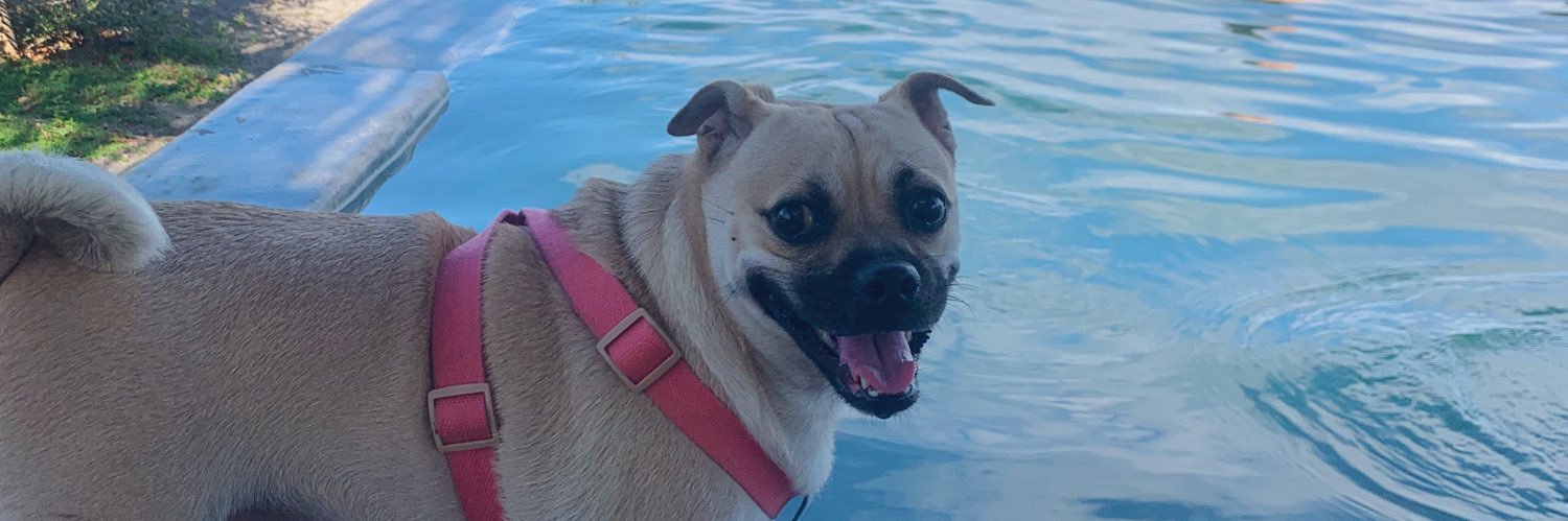 maxinemarinas's profile banner image