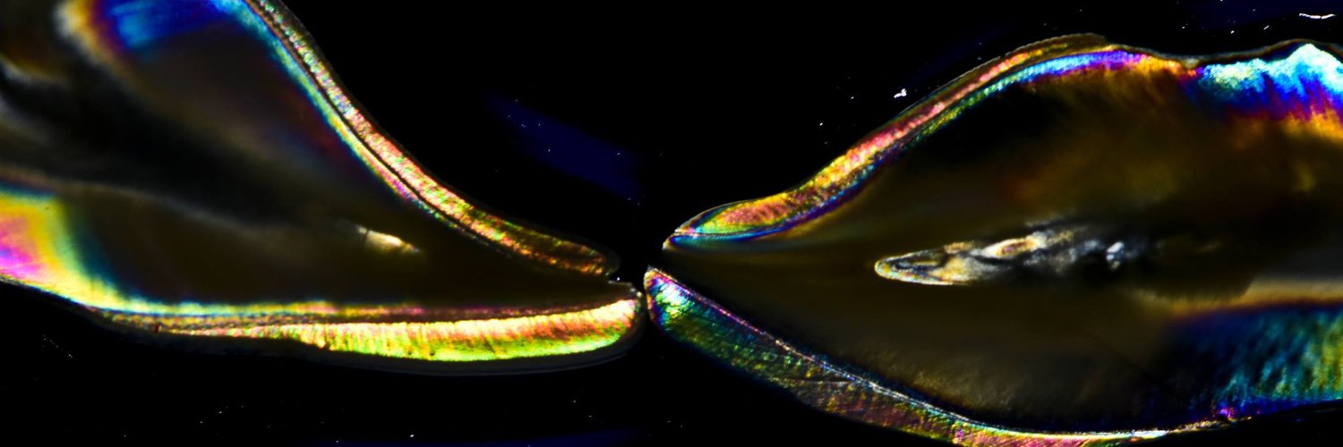 mrpierrest's profile banner image