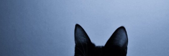 lexaris12's profile banner image