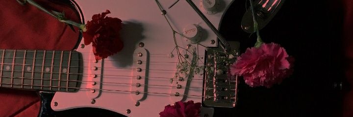 mizo banner