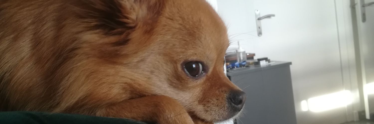Devorels's profile banner image