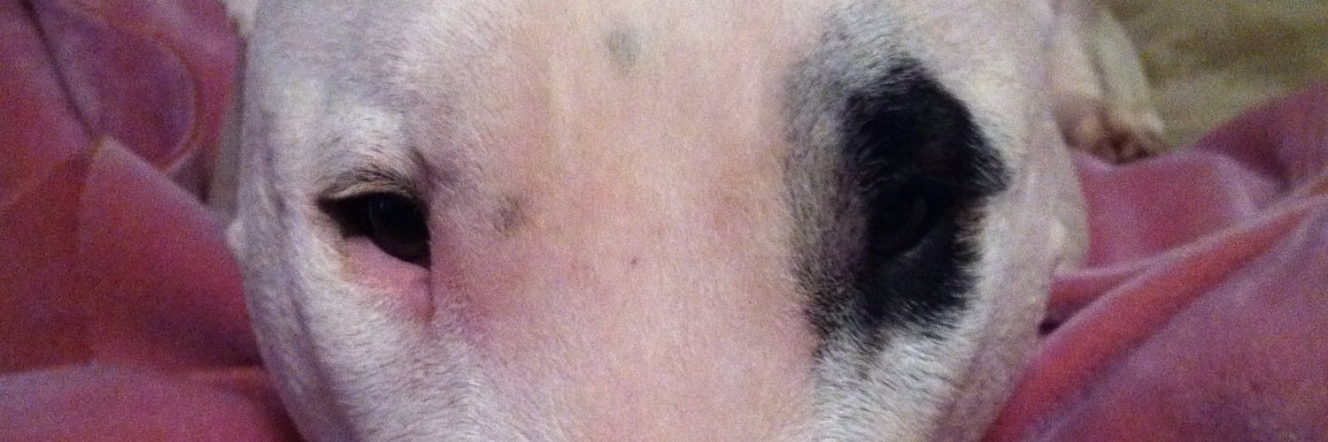 @fastmissile.bsky.social banner