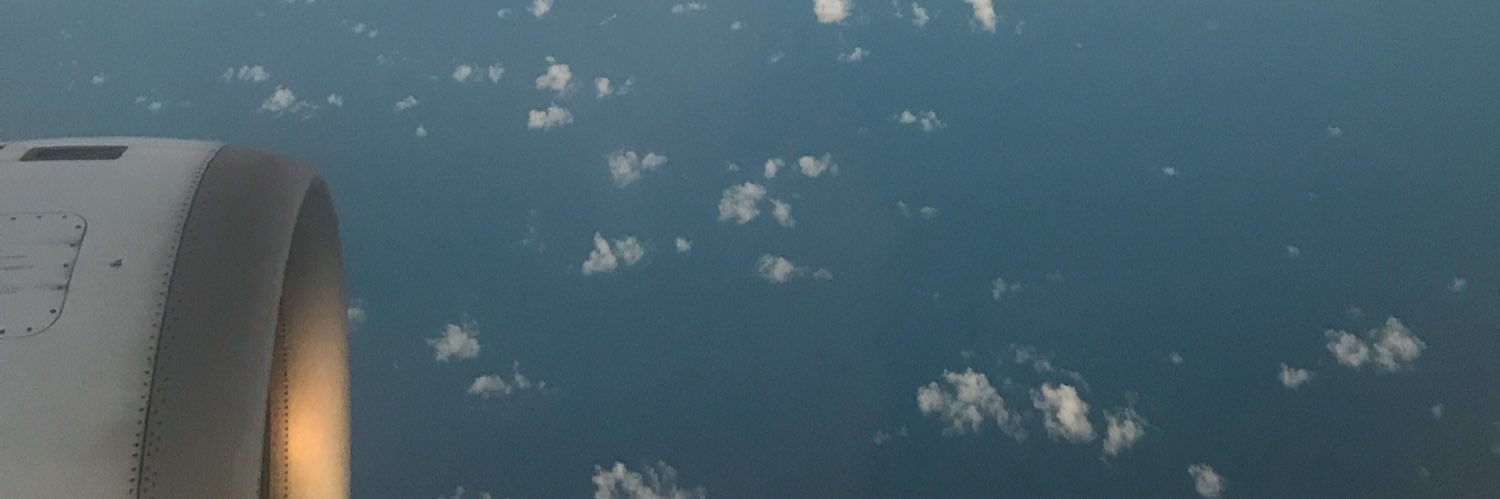 michellepesce_'s profile banner image