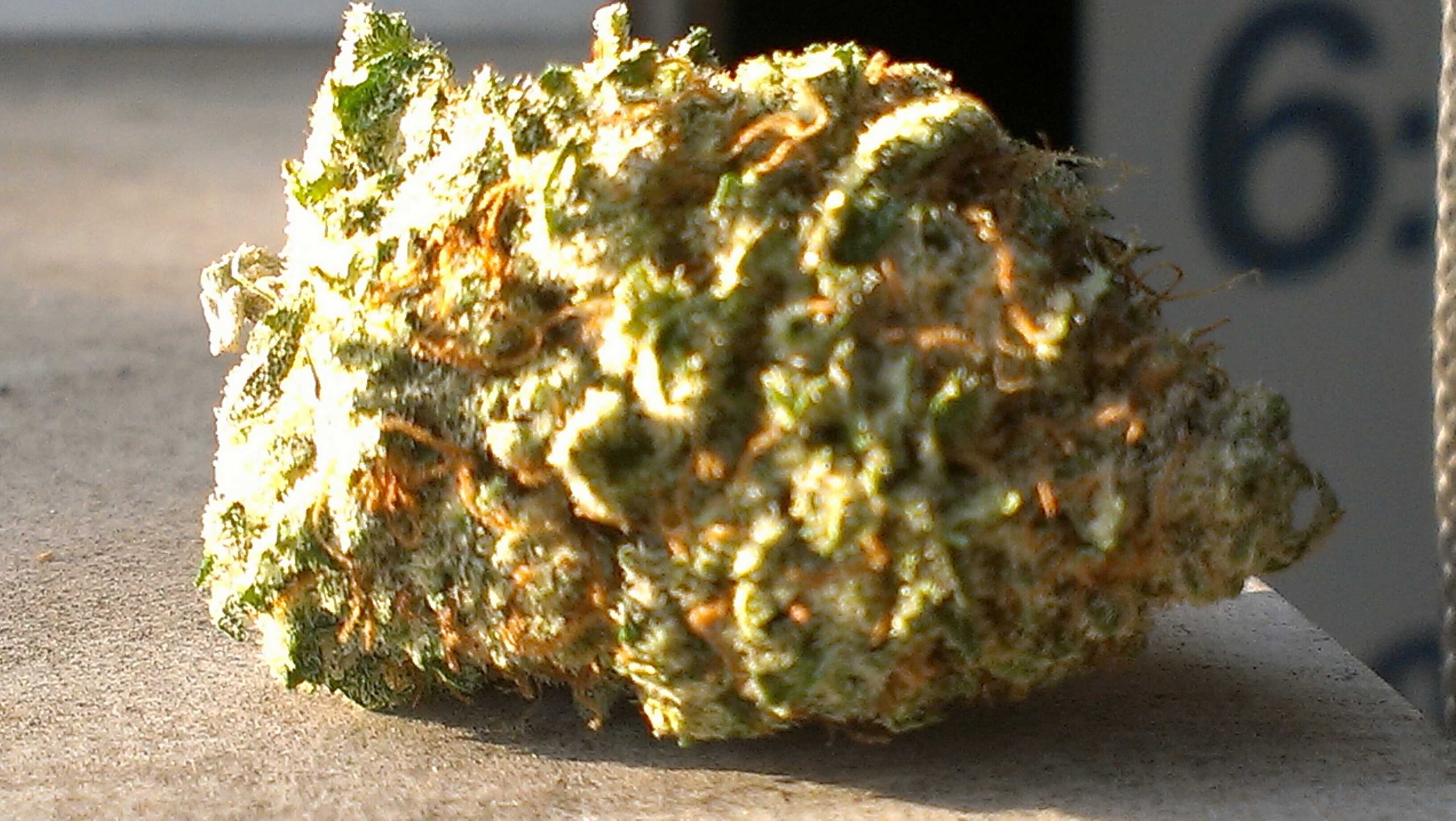 comatokes420's profile banner image