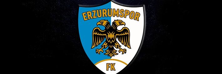 ZeyrekAli's profile banner image