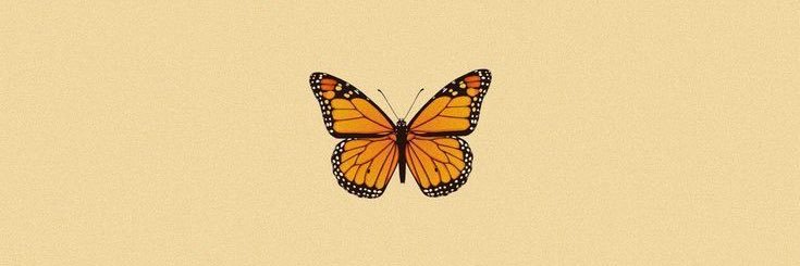 Awhay__'s profile banner image