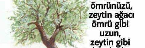 uykusuzati's profile banner image
