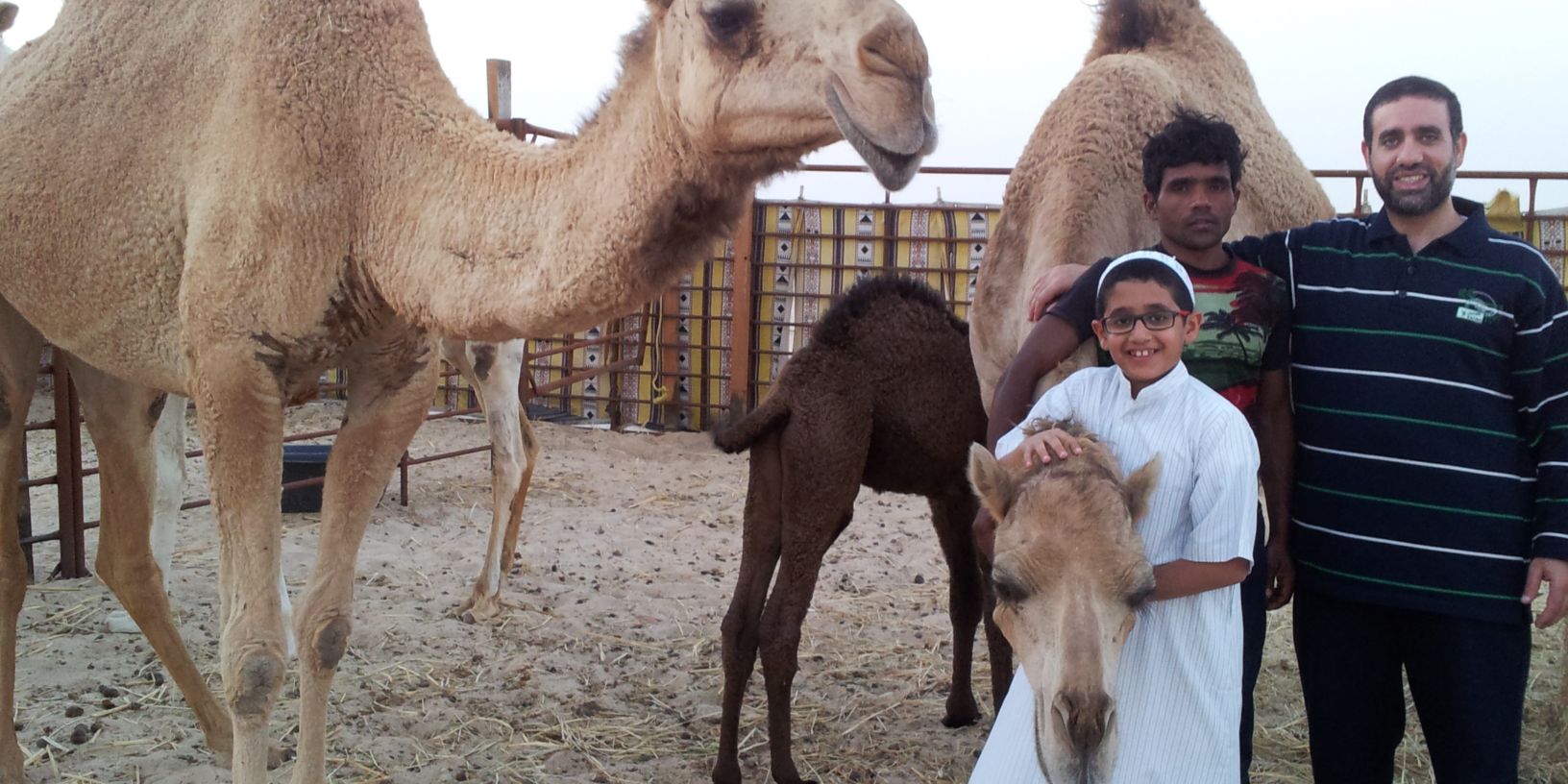 alraed101's profile banner image