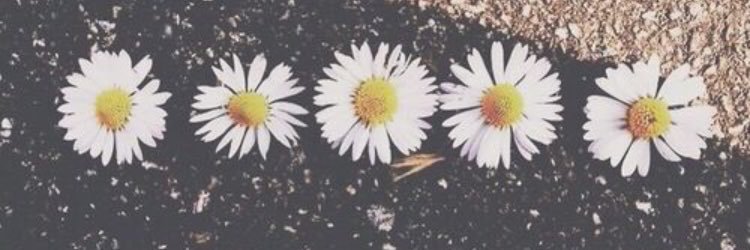 ChloeDavidson7's profile banner image