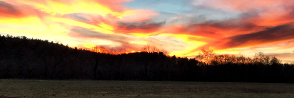 brookeehembree's profile banner image
