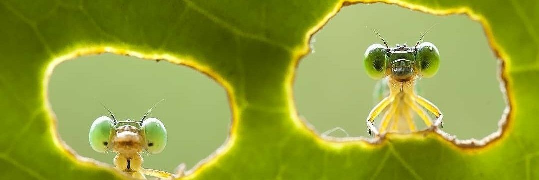 mdbilgin's profile banner image