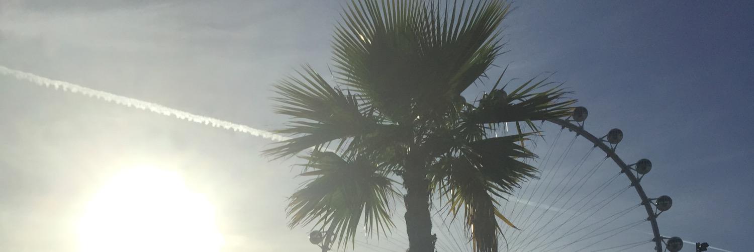 Snasca13's profile banner image