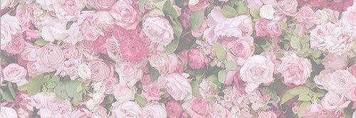 AbbieFrain's profile banner image