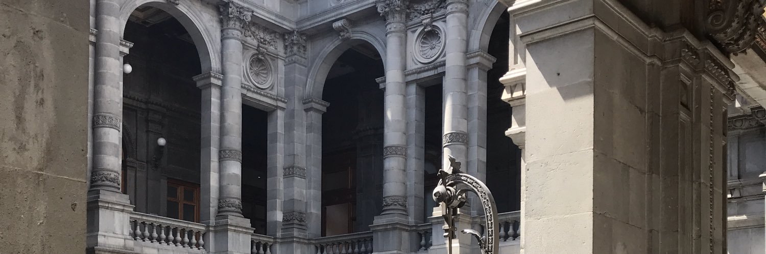 yaramitztli's profile banner image