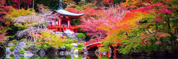 Folken74 Profile Banner